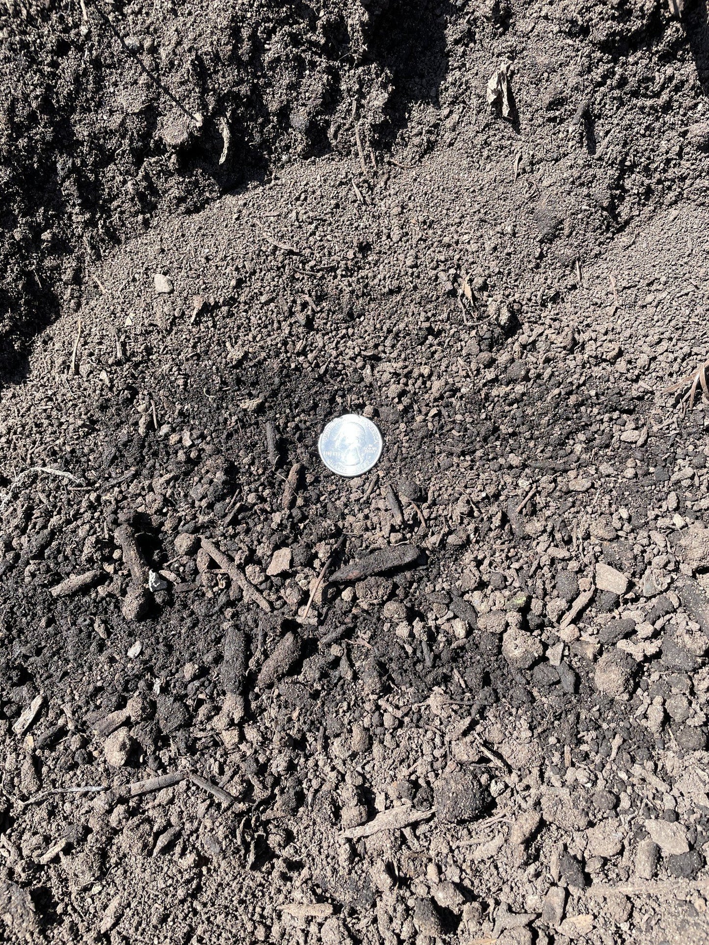 Compost - FULL Cubic Yard