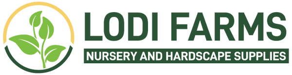 Lodi Farms Nursery
