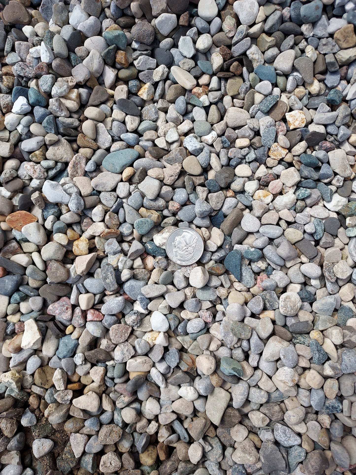 Pea Stone - Cubic yard
